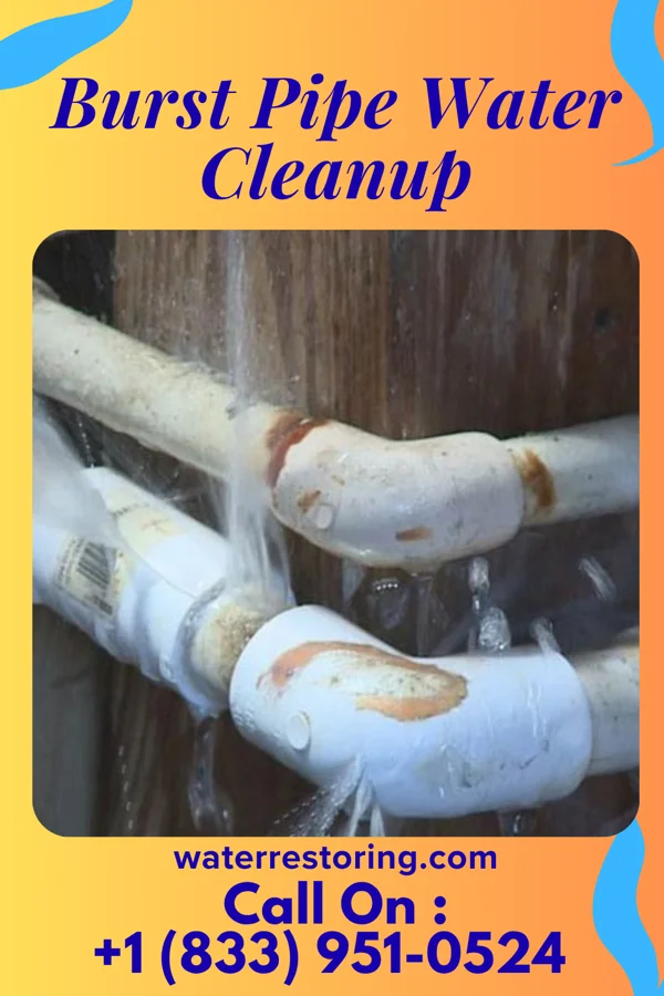 Burst Pipe Water Cleanup in Sugarland Run, VA