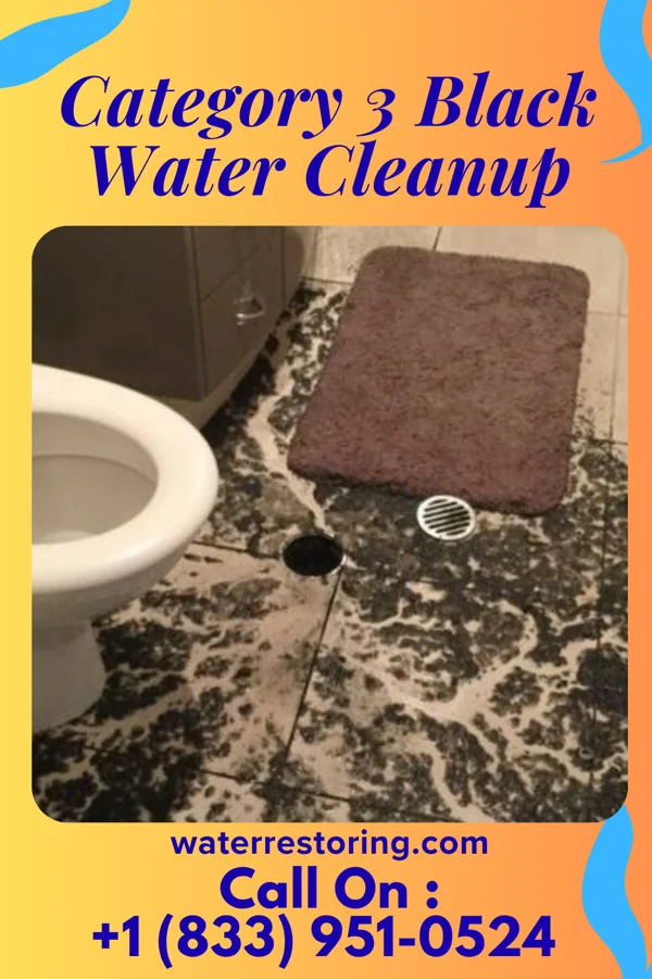 Category 3 Black Water Cleanup in Sugarland Run, VA