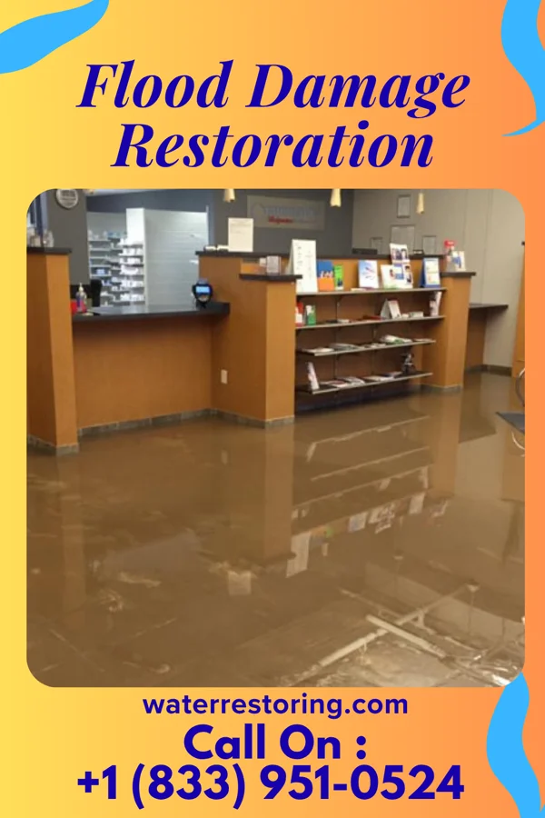 Flood Damage Restoration in Sugarland Run, VA