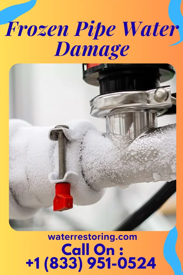 Frozen Pipe Water Damage in Sugarland Run, VA