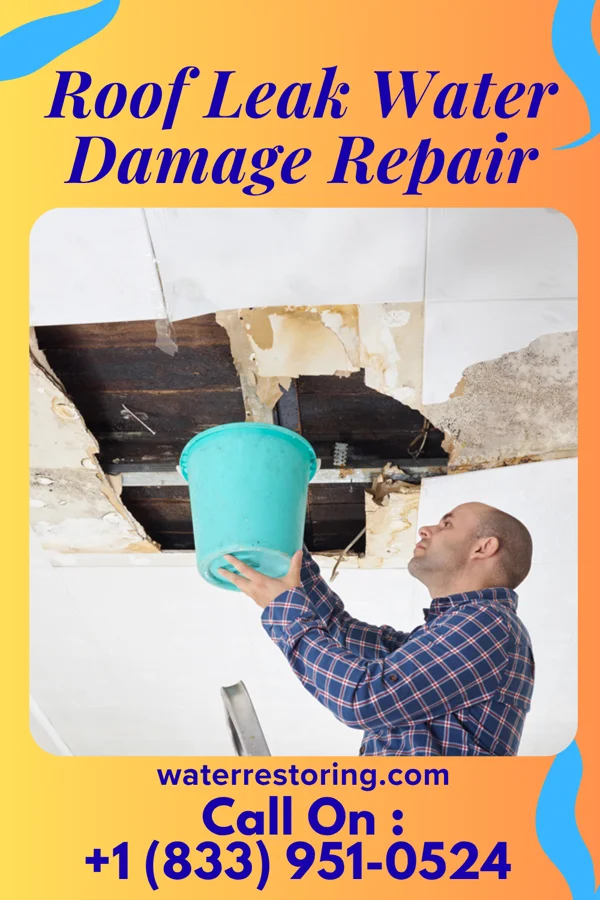 Roof Leak Water Damage Repair in Sugarland Run, VA
