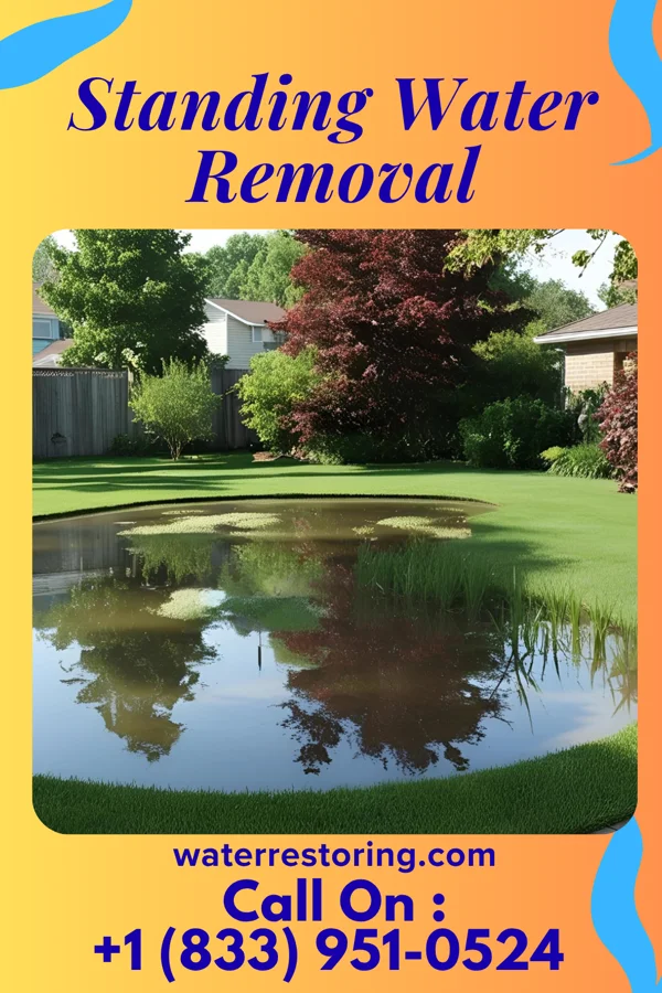 Standing Water Removal in Sugarland Run, VA